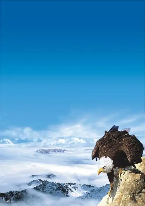 怎么把文件拖到桌面右侧